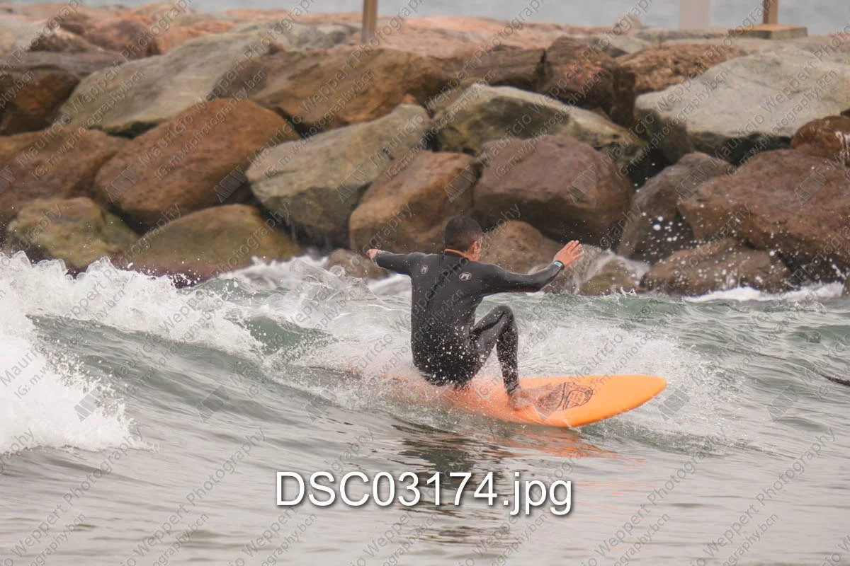 DSC03174.jpg