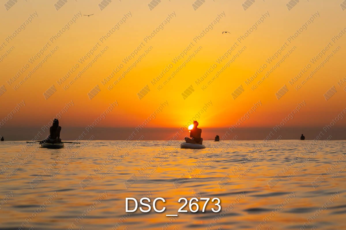 DSC_2673.jpg