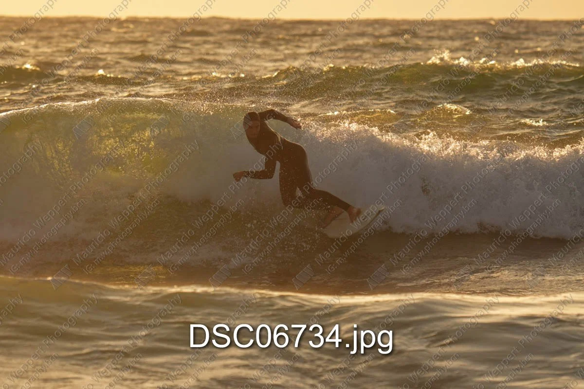 DSC06734.jpg