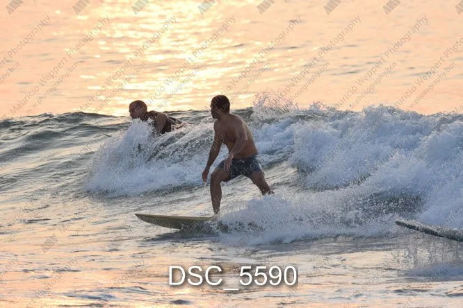 DSC_5590.jpg