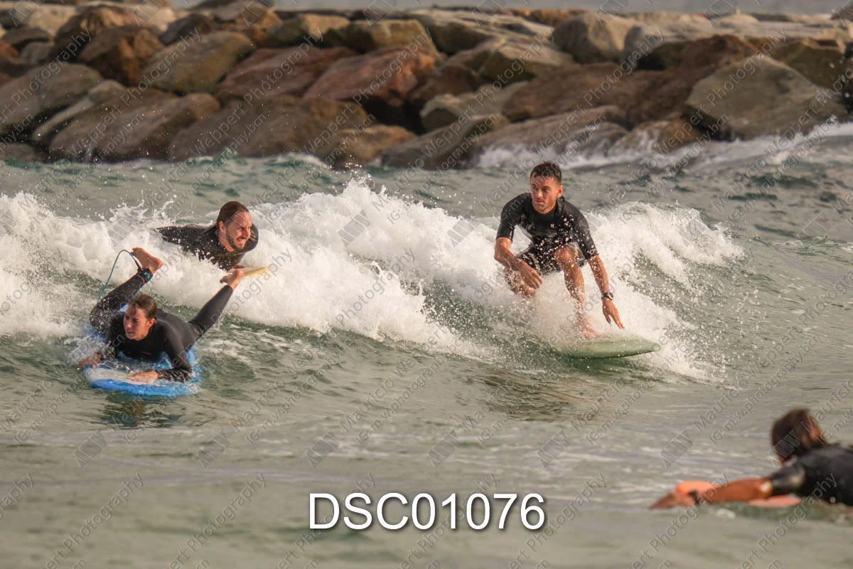 DSC01076.jpg