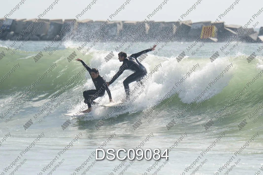 DSC09084.jpg