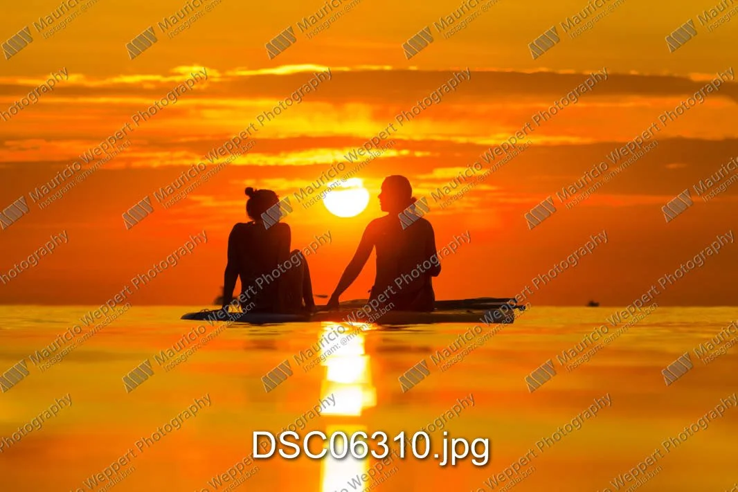 DSC06310.jpg