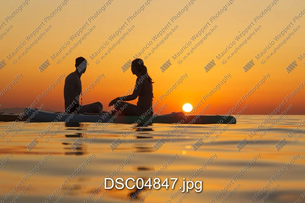 DSC04847.jpg