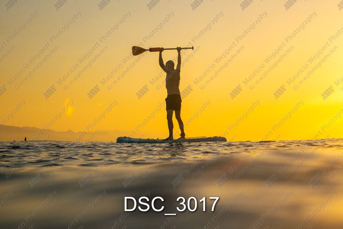 DSC_3017.jpg