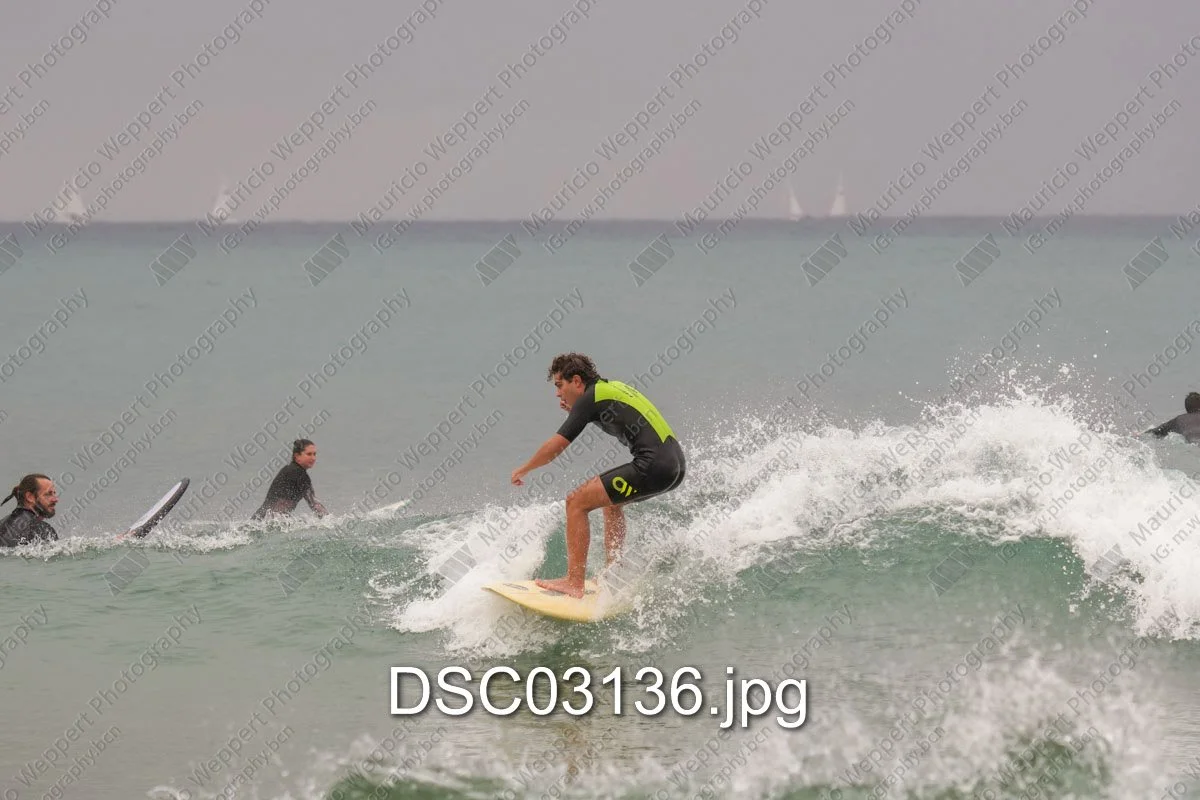DSC03136.jpg