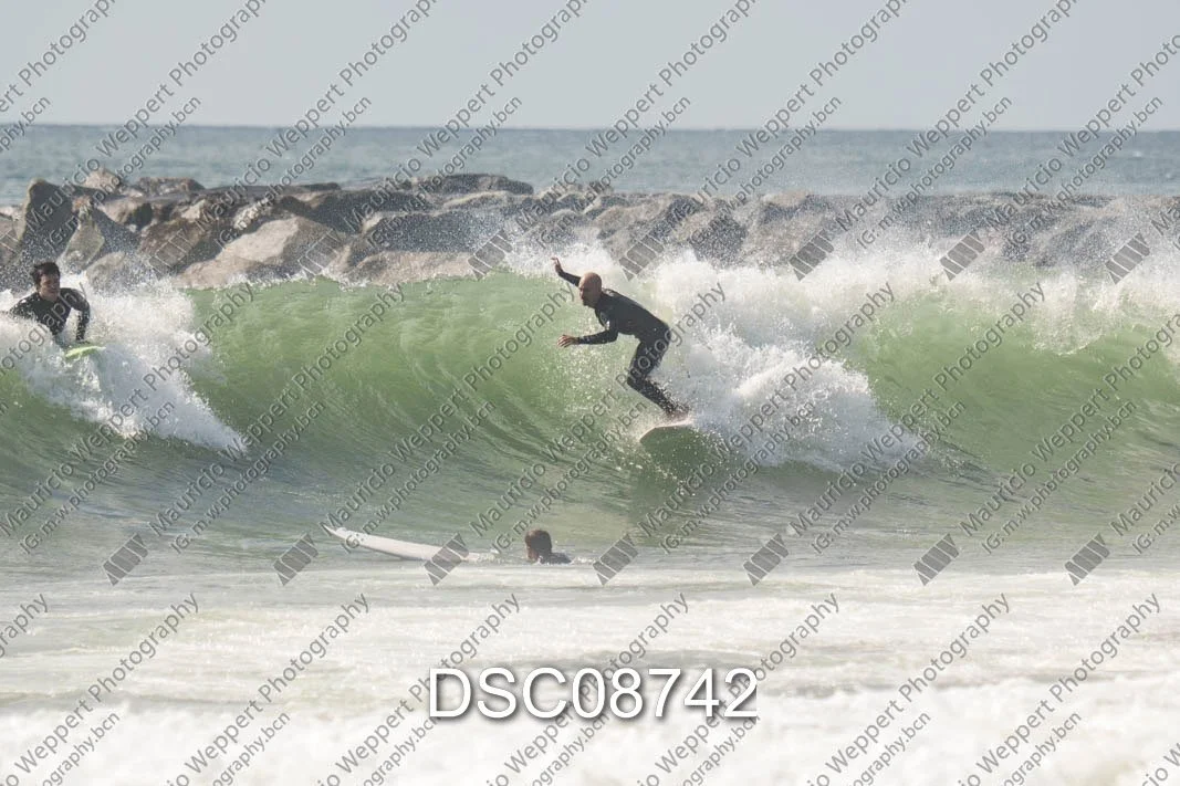 DSC08742.jpg