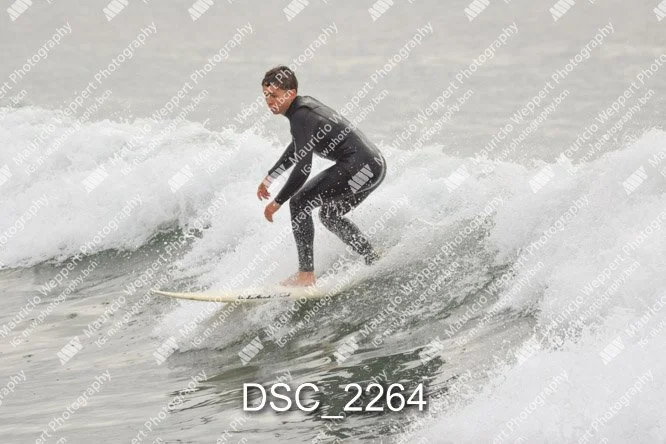 DSC_2264.jpg
