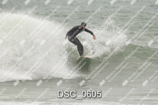 DSC_0605.jpg