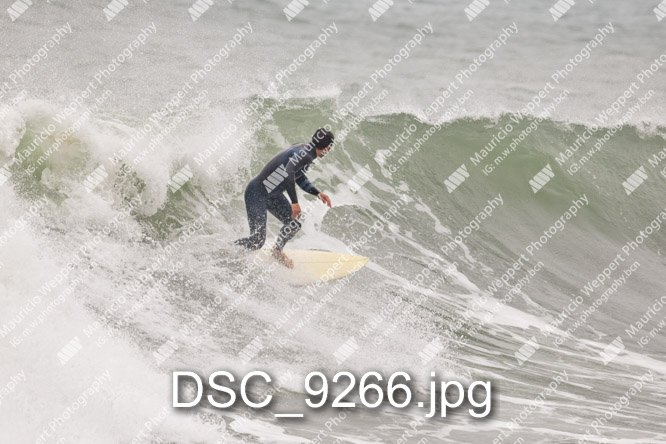 DSC_9266.jpg