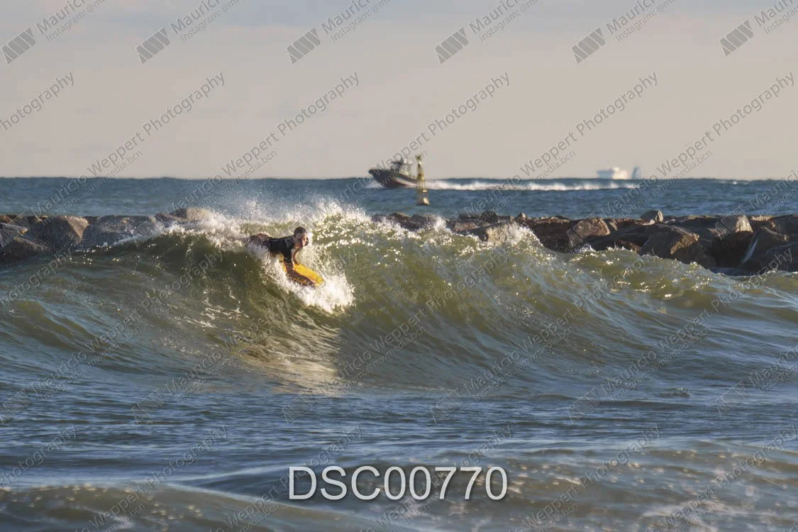 DSC00770.jpg
