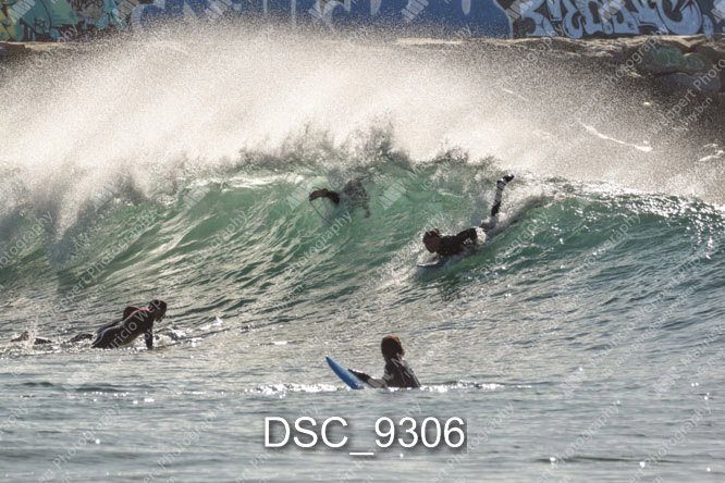 DSC_9306.jpg