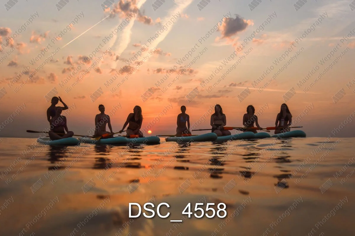 DSC_4558.jpg