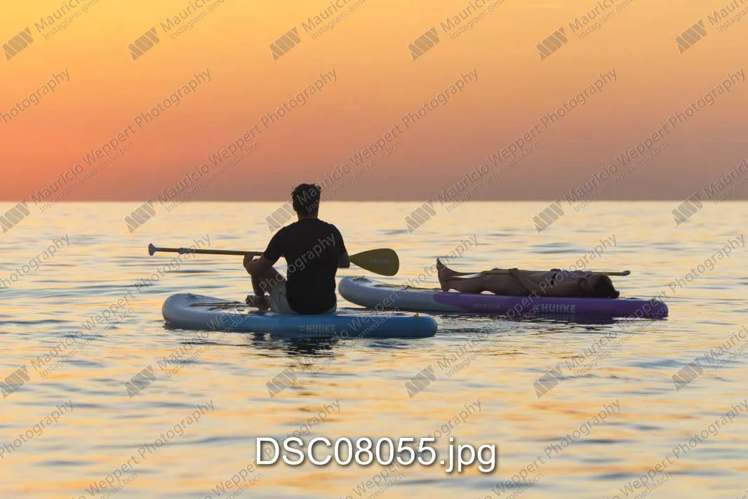 DSC08055.jpg