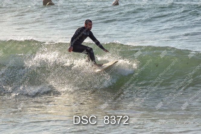 DSC_8372.jpg