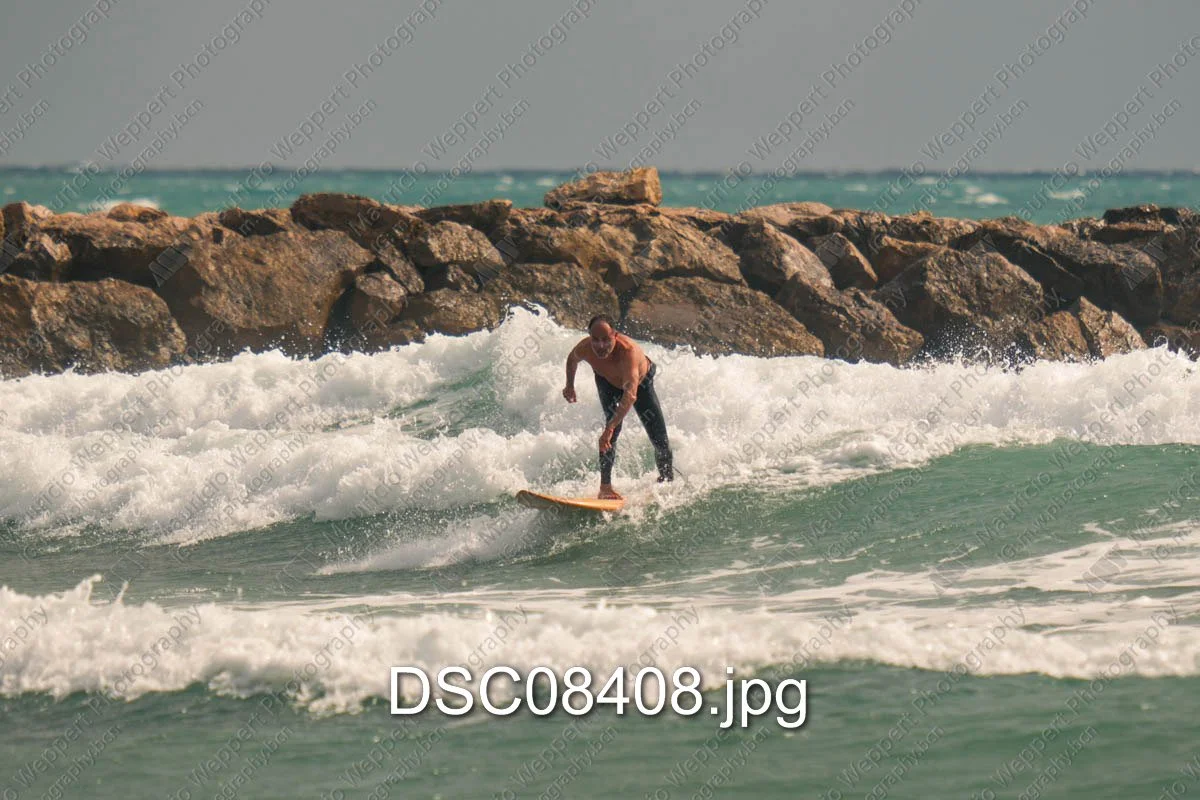 DSC08408.jpg