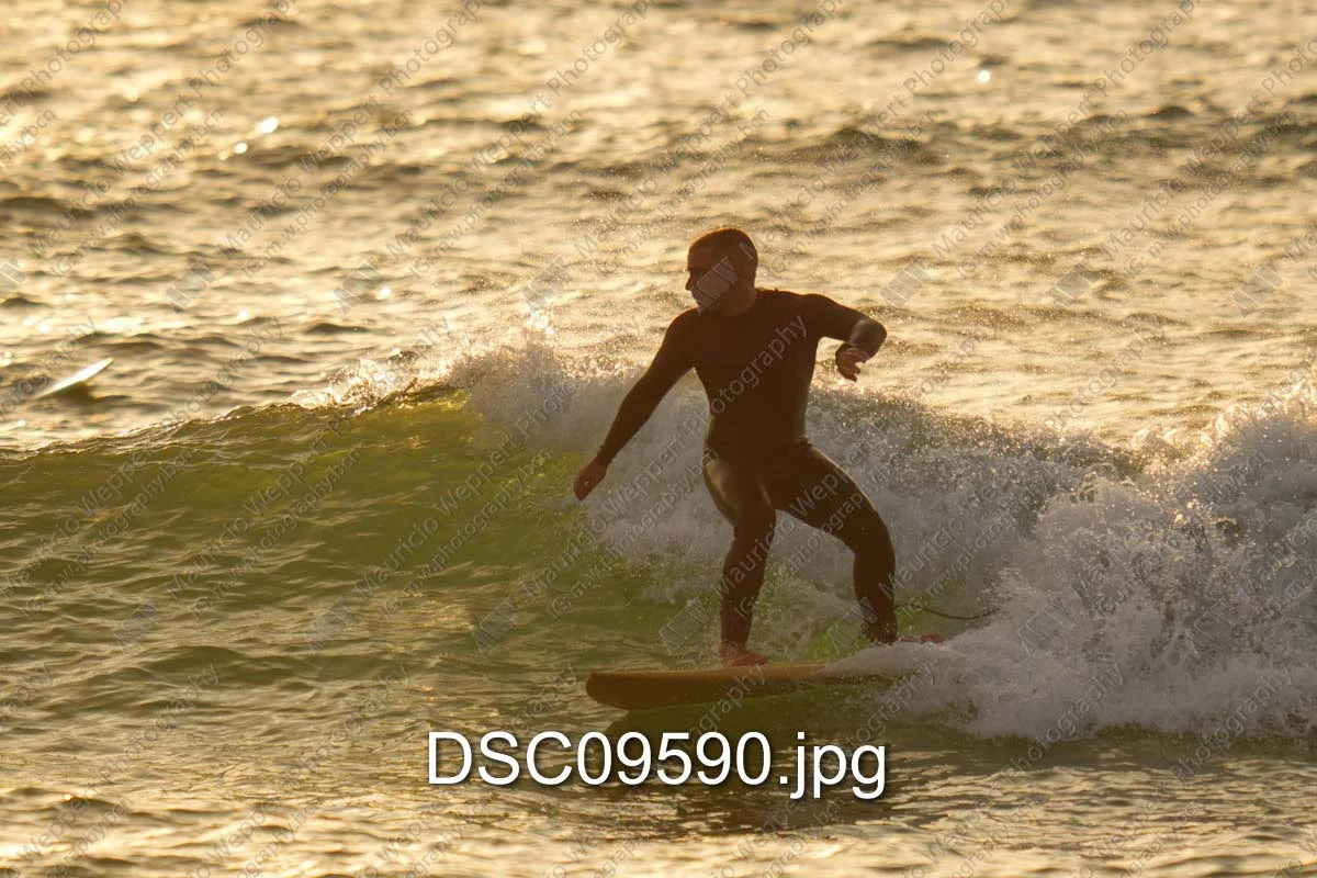 DSC09590.jpg