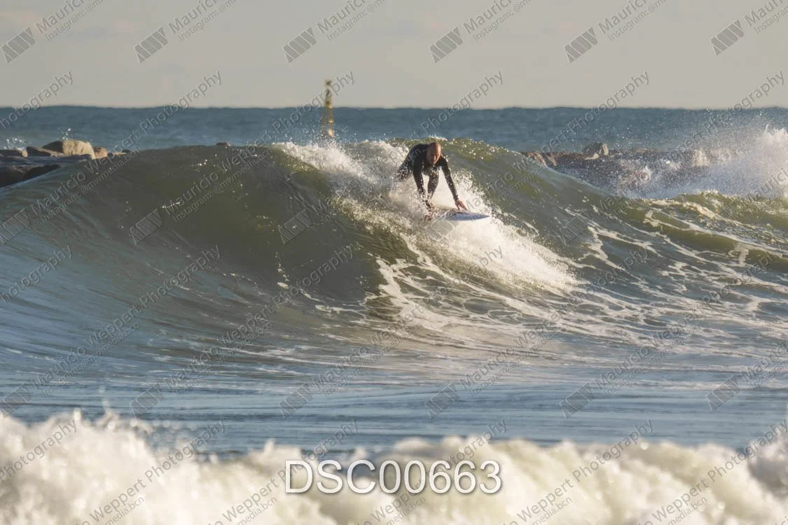 DSC00663.jpg