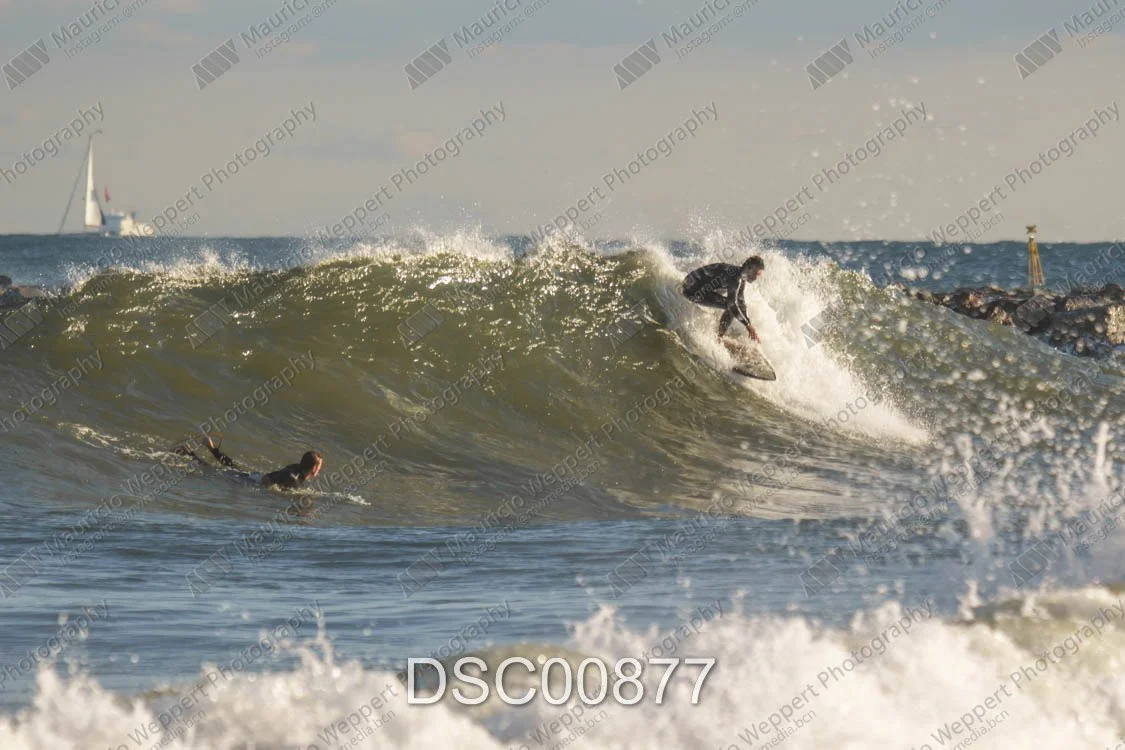 DSC00877.jpg
