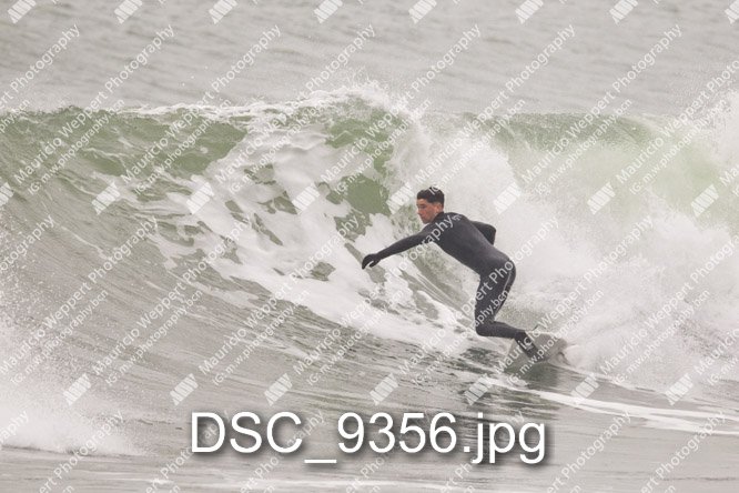DSC_9356.jpg