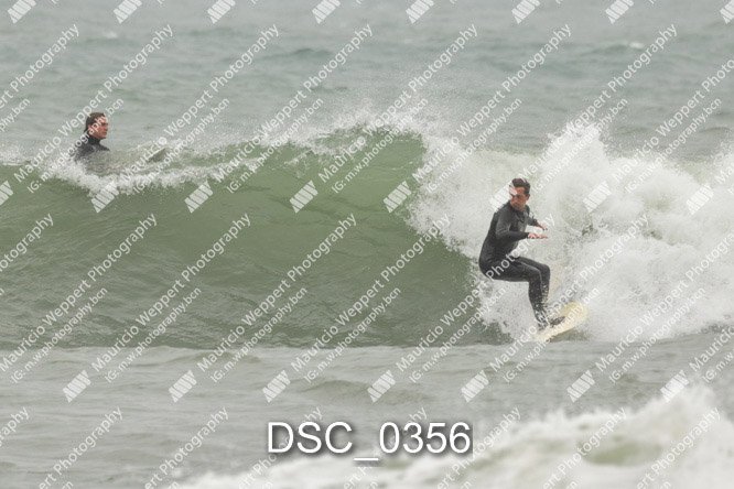 DSC_0356.jpg