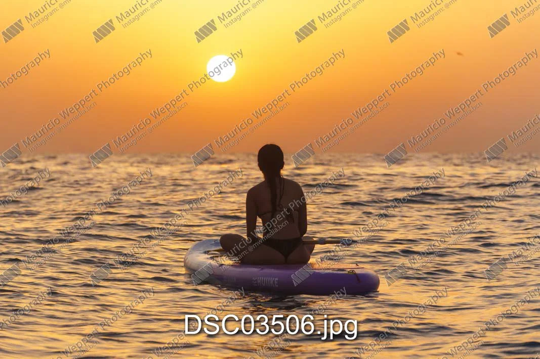 DSC03506.jpg