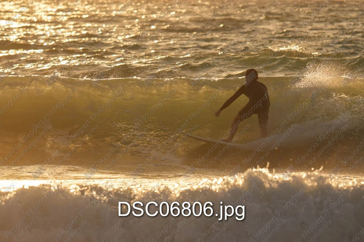 DSC06806.jpg