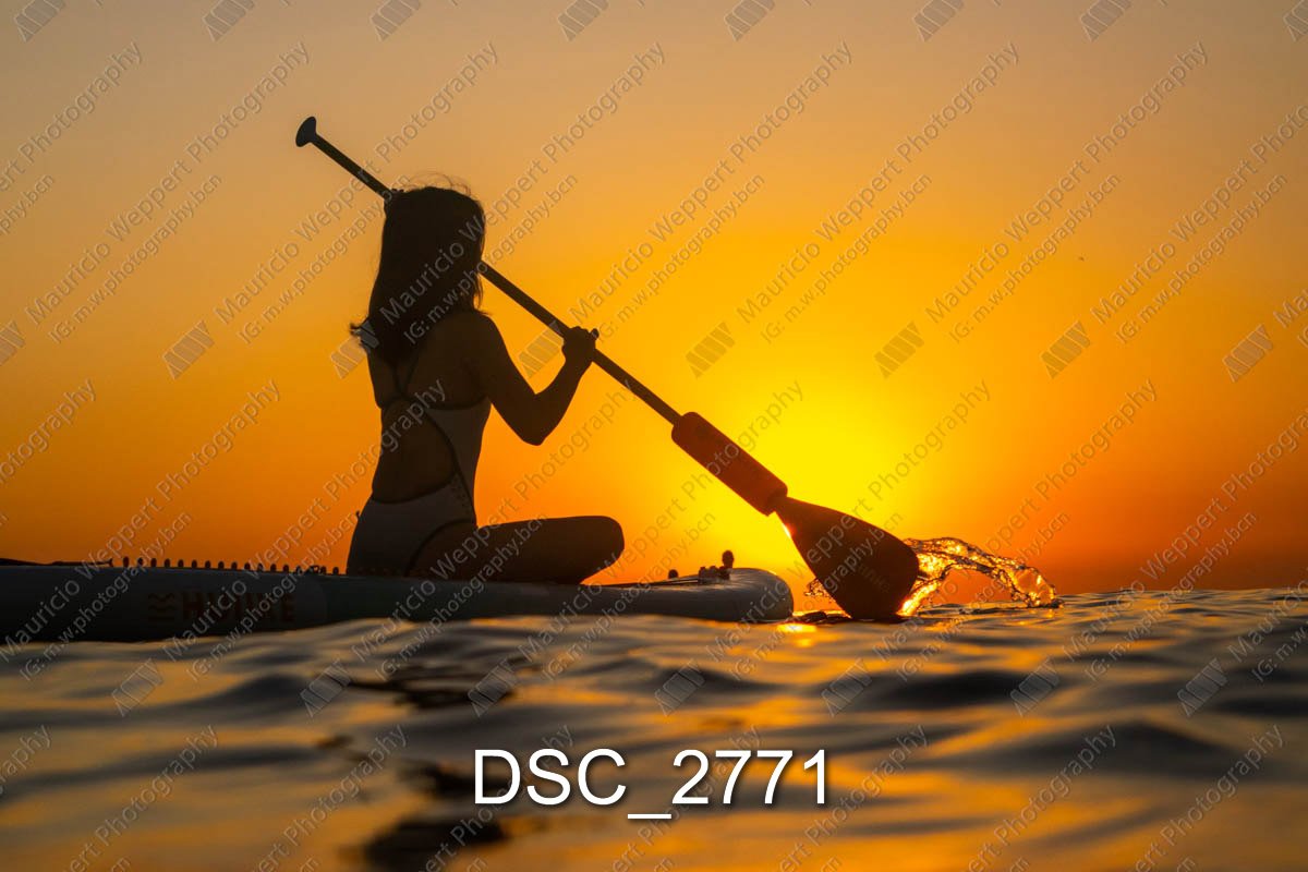 DSC_2771.jpg