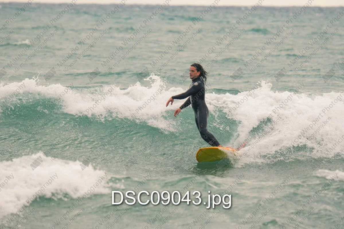 DSC09043.jpg