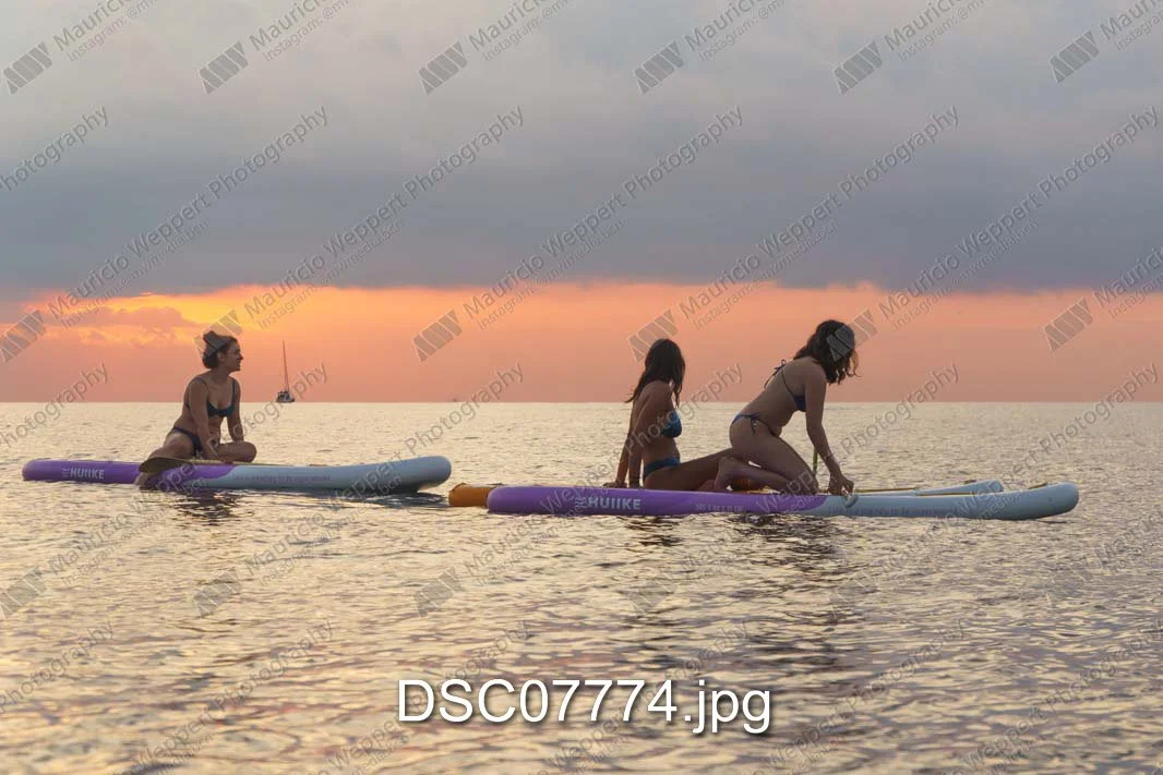 DSC07774.jpg