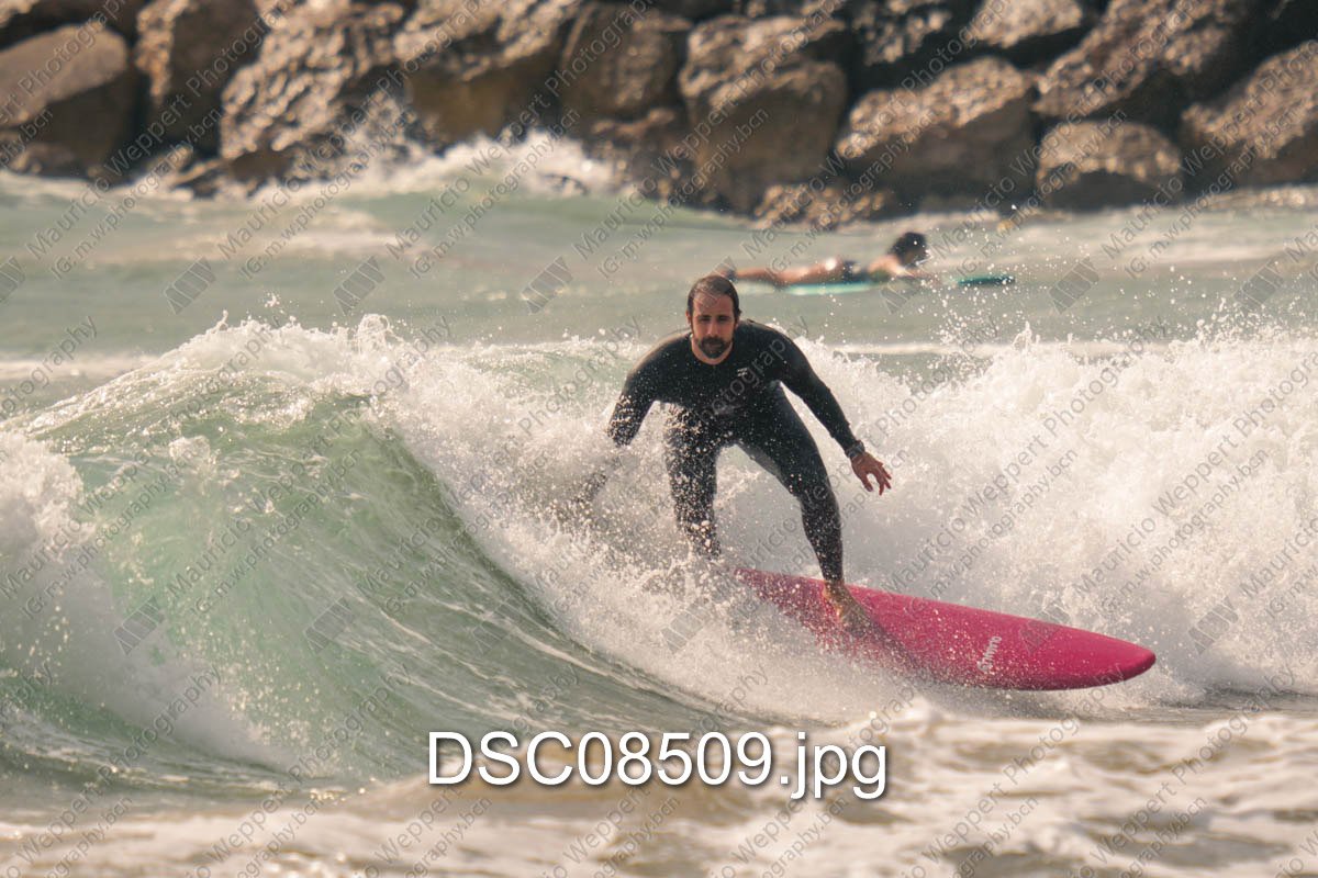 DSC08509.jpg