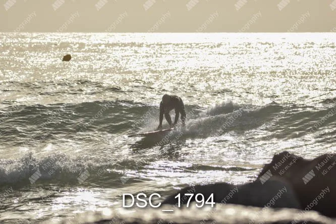DSC_1794.jpg