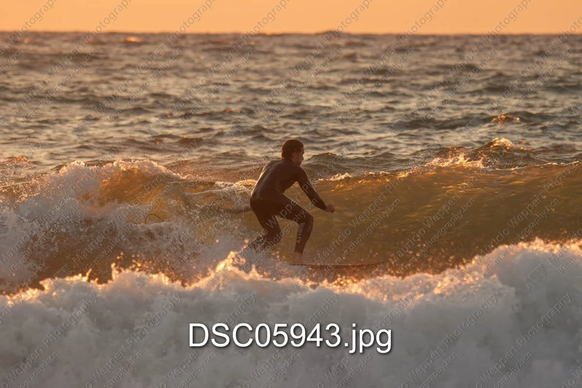 DSC05943.jpg