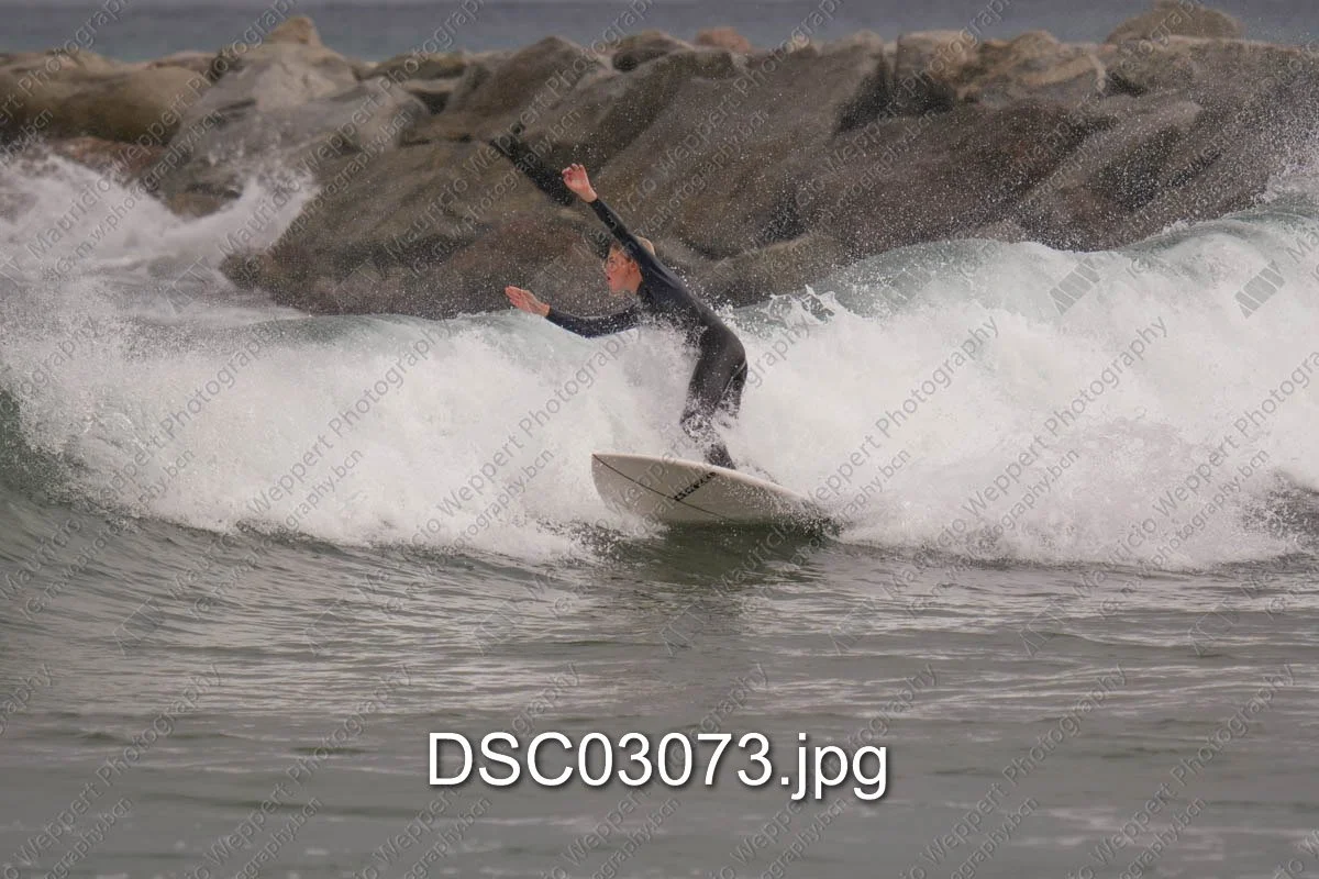 DSC03073.jpg