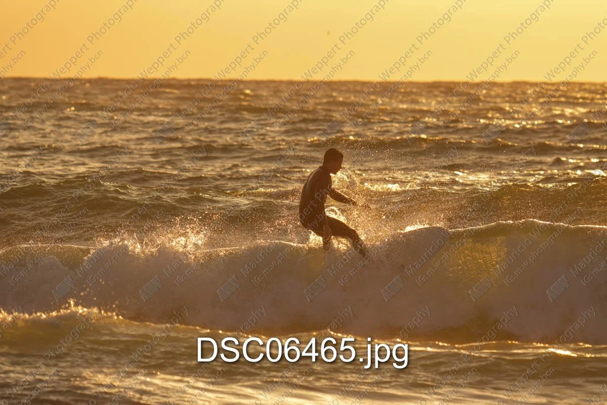 DSC06465.jpg
