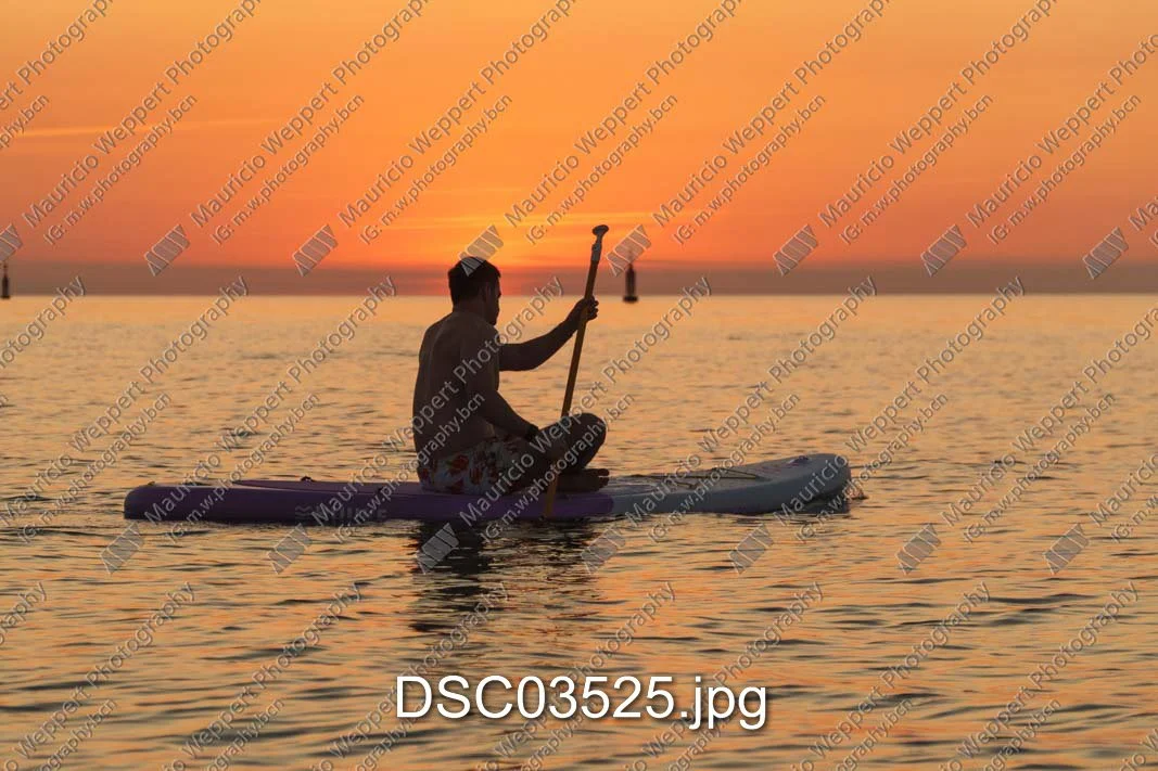 DSC03525.jpg