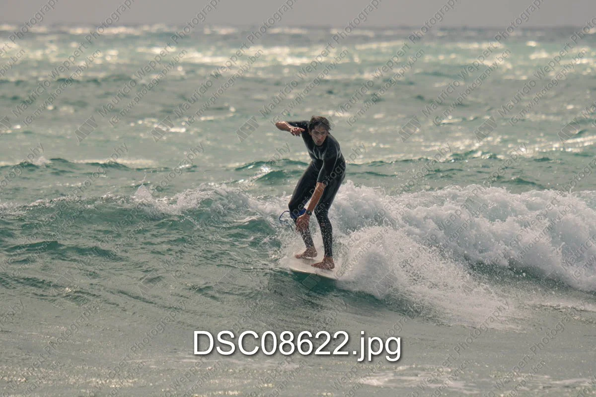 DSC08622.jpg