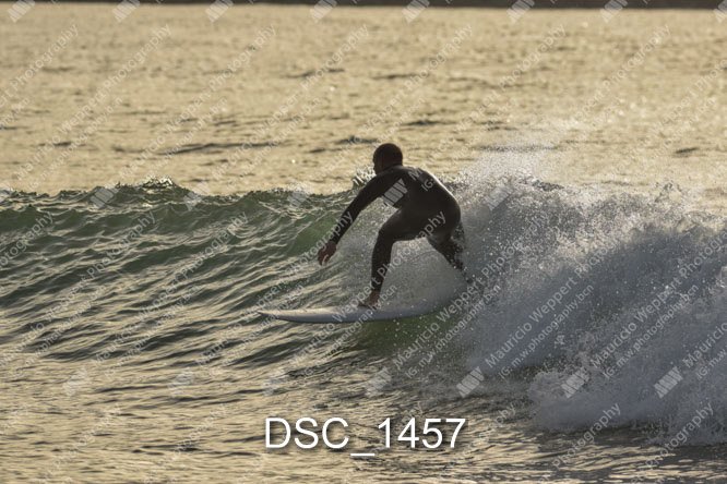 DSC_1457.jpg