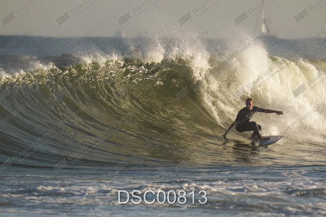 DSC00813.jpg