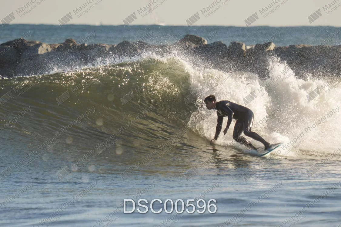 DSC00596.jpg