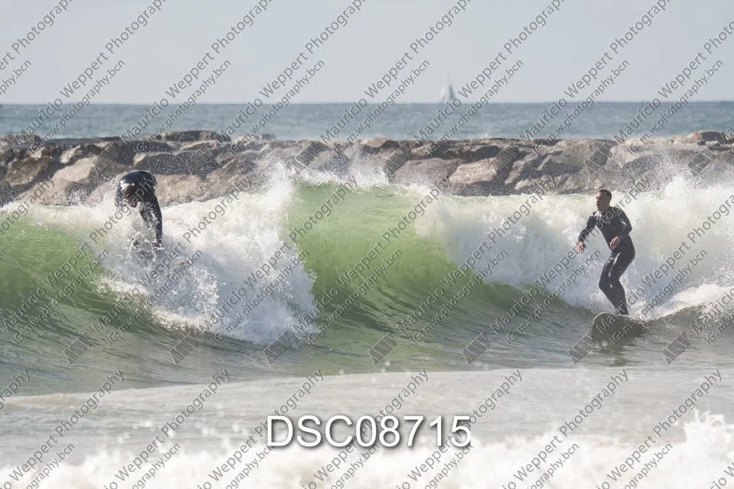 DSC08715.jpg