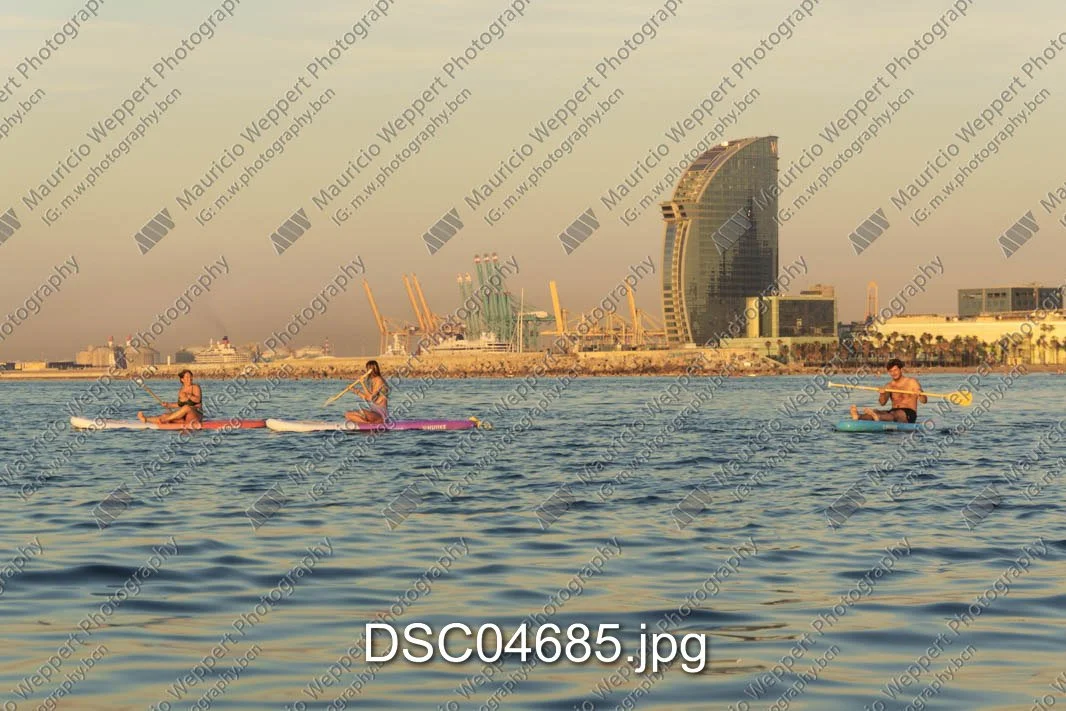 DSC04685.jpg
