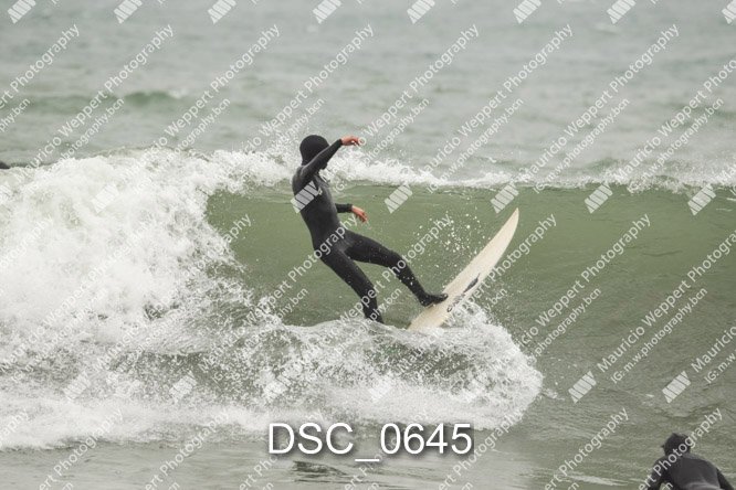 DSC_0645.jpg