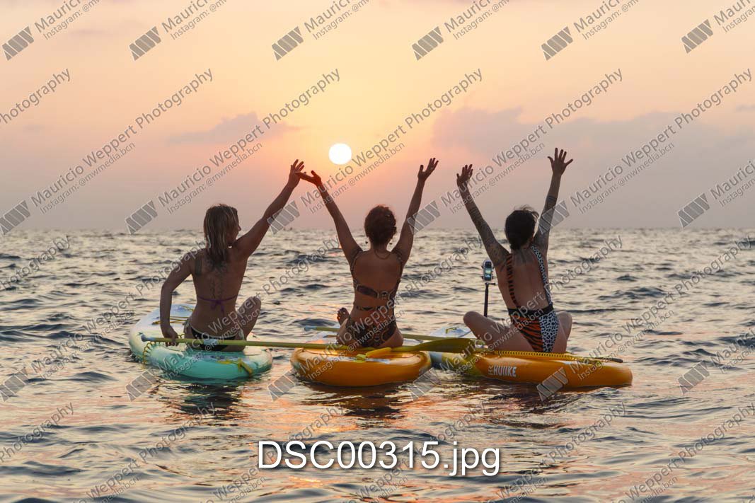 DSC00315.jpg