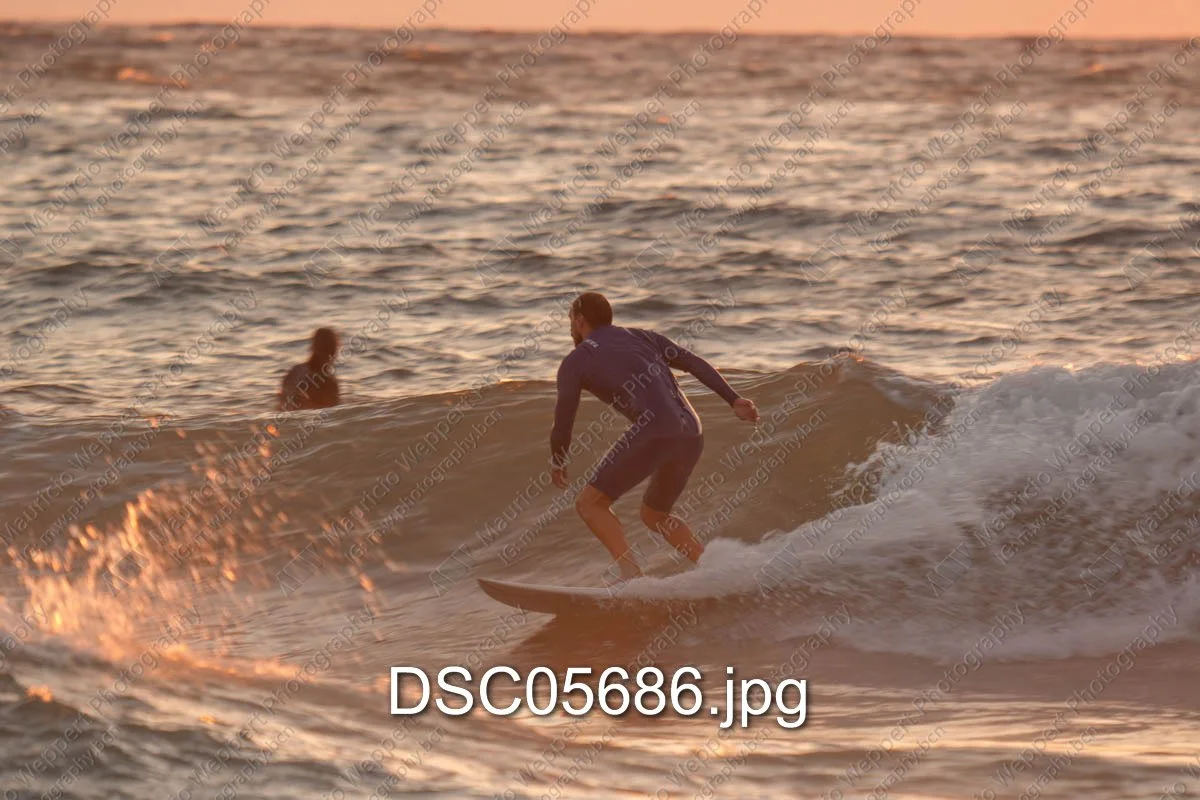 DSC05686.jpg
