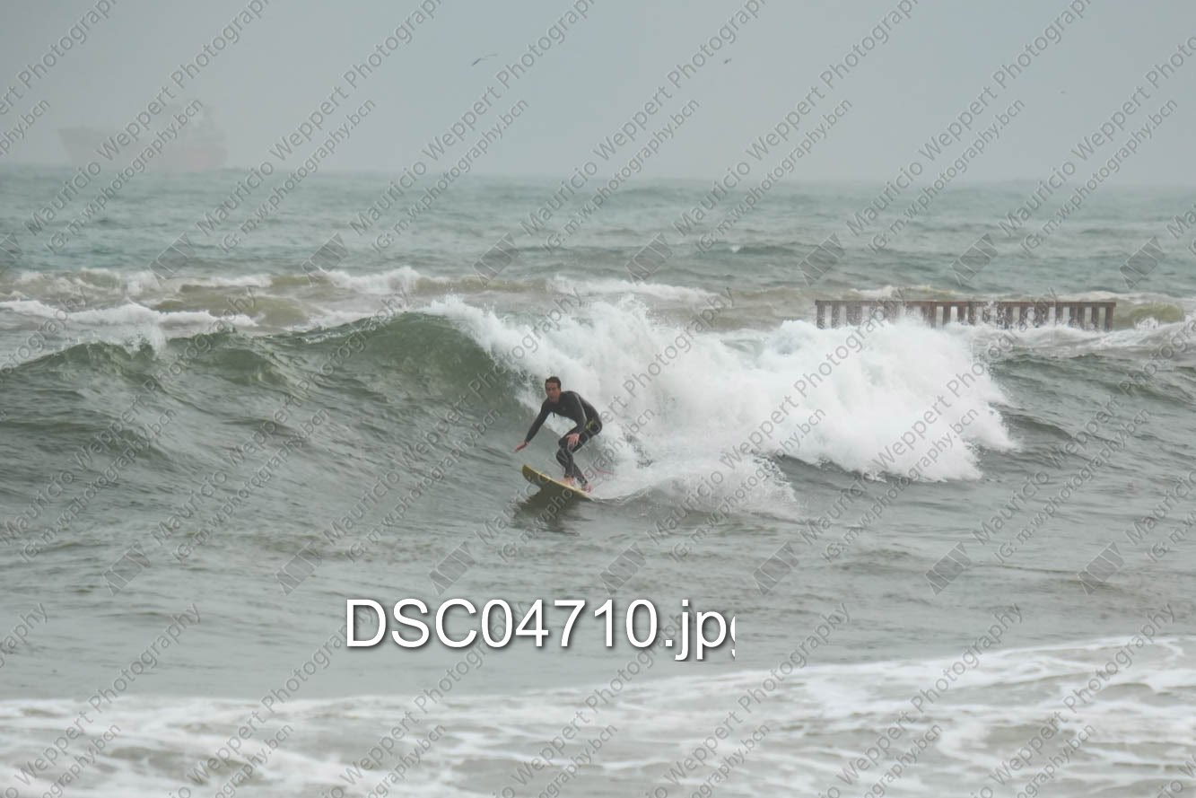DSC04710.jpg
