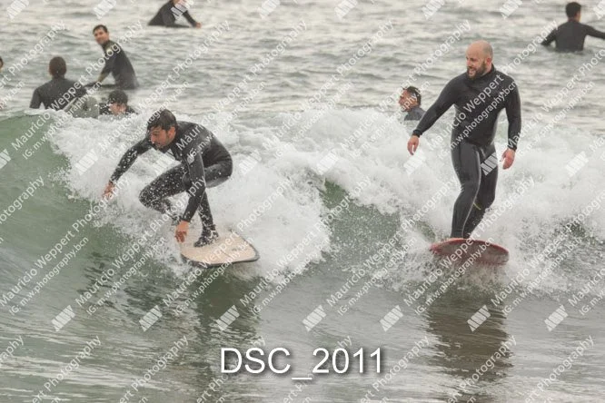 DSC_2011.jpg