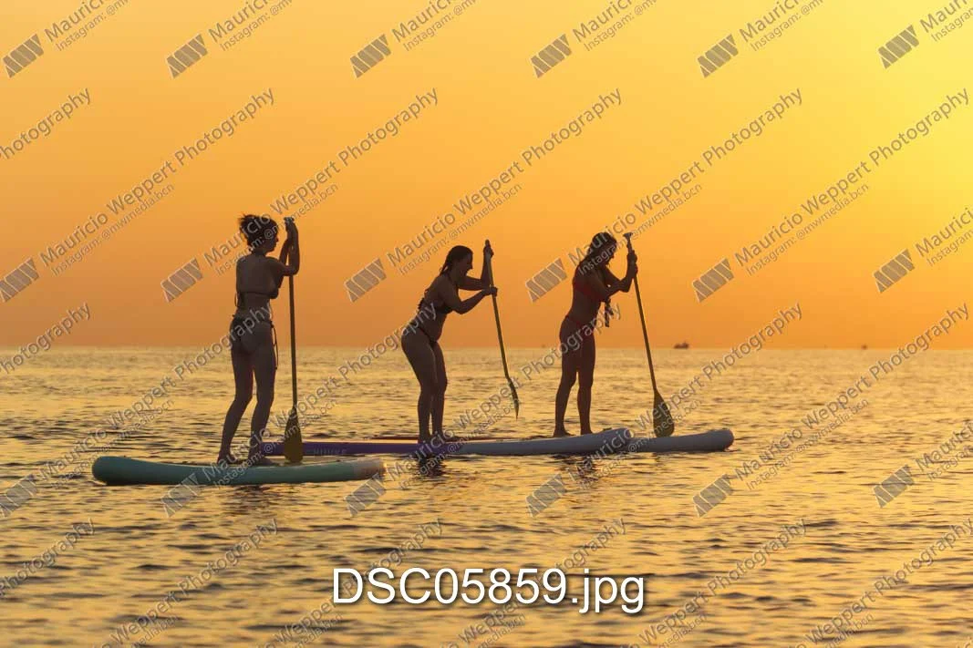 DSC05859.jpg