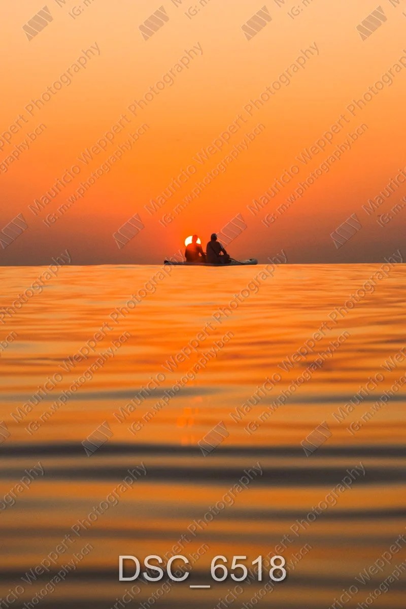 DSC_6518.jpg