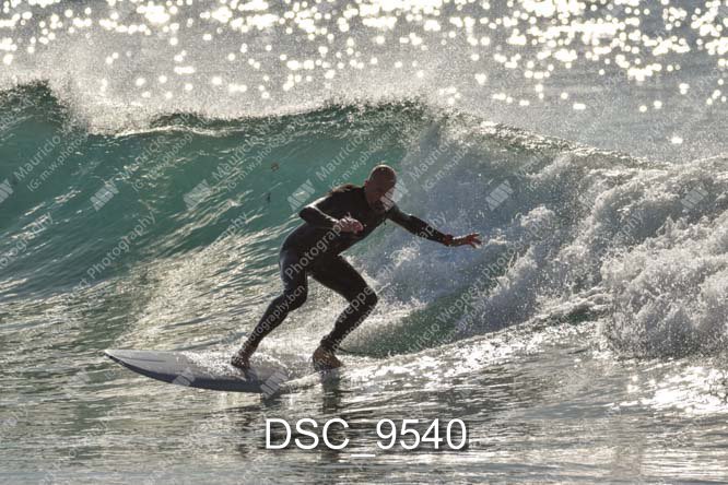 DSC_9540.jpg